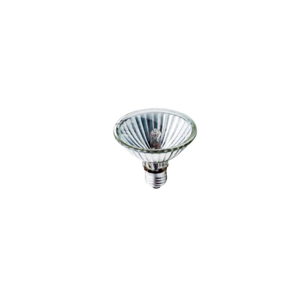 Accessorio Lampadina PAR 75W